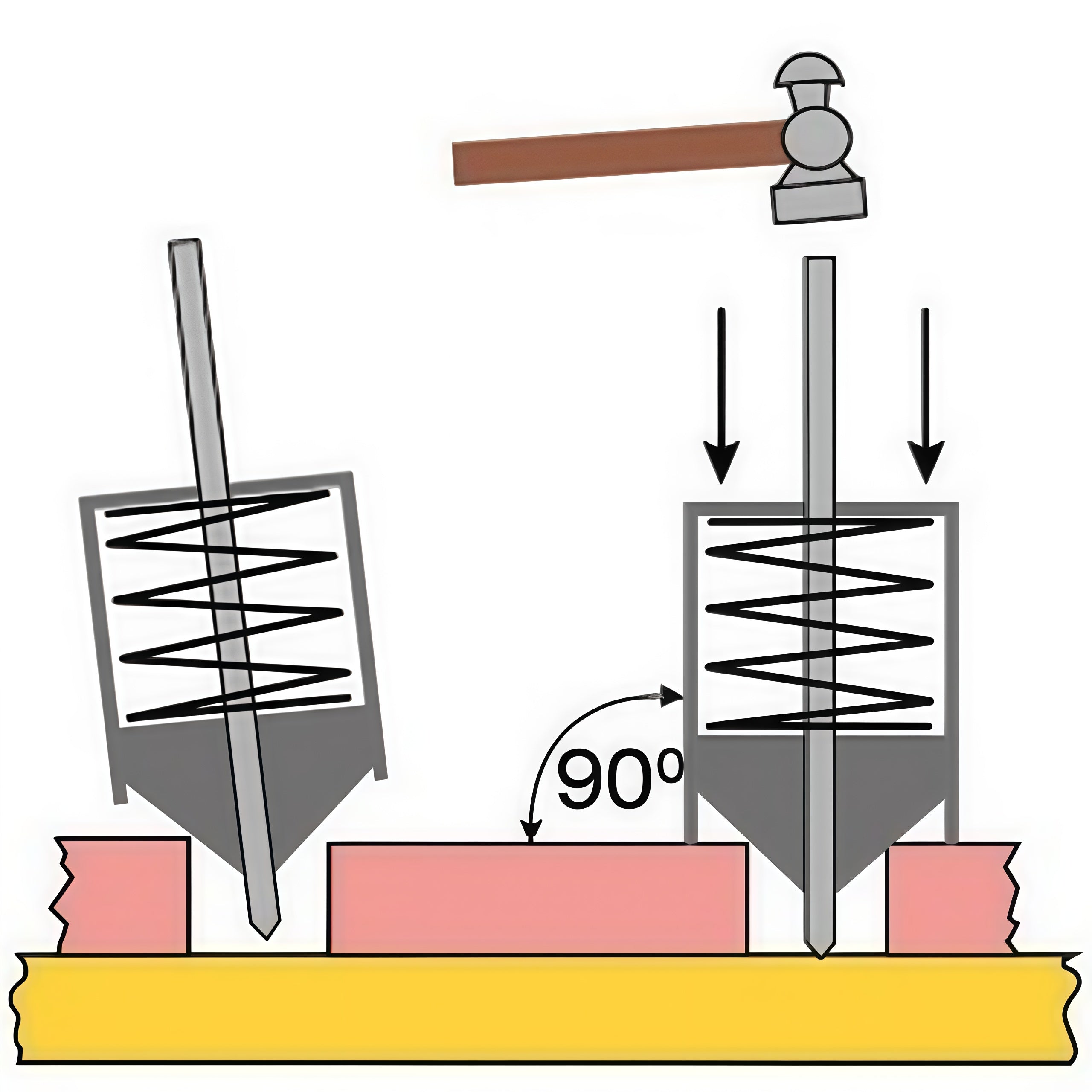 Universal Transfer Punch and Aligner